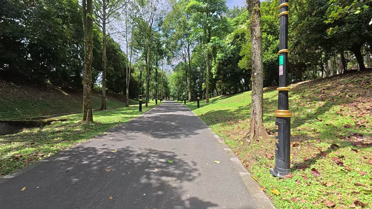 Strolling along a shaded tropical garden path. Tall trees provide a lush canopy. The weather is bright and hot.