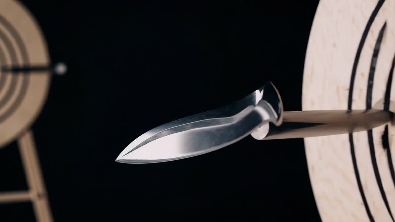 Throwing Knife Target Practice