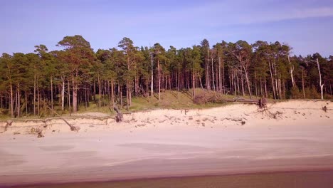 Aerial-view-of-Baltic-sea-coast-on-a-sunny-day,-steep-seashore-dunes-damaged-by-waves,-broken-pine-trees,-coastal-erosion,-climate-changes,-wide-angle-drone-dolly-shot-moving-right