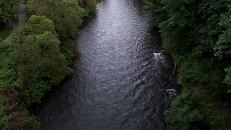 Beautiful-scenic-aerial-shot-of-flowing-Tolt-River-in-lush-green-forest-in-Washington-State