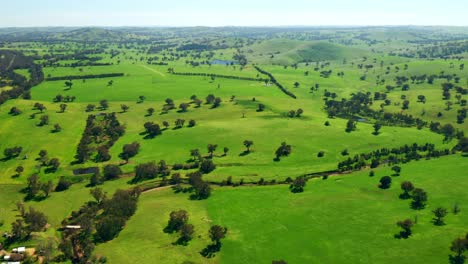 paisaje siempre verde en las áreas circundantes en el territorio del norte, australia central