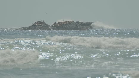 Große-Wellen,-Die-Auf-Felsen-Im-Ozean-Krachen,-Mit-Vielen-Seelöwen