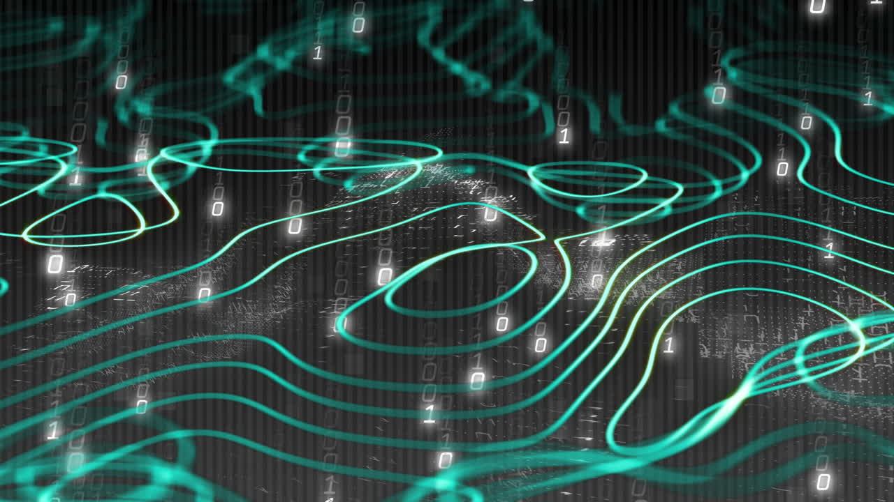 바이너리 코딩으로 연결 네트워크의 애니메이션