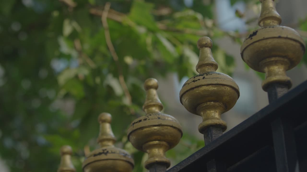 A 5K shot of a gate in an outdoor setting.