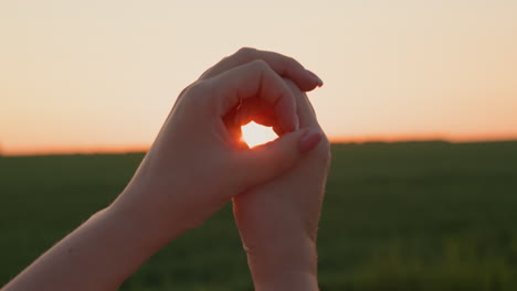 women's hands hold the disk of the sun, which sets over a field of wheat