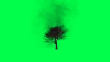 burning tree on green screen