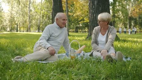 elderly couple enjoying a picnic in the park