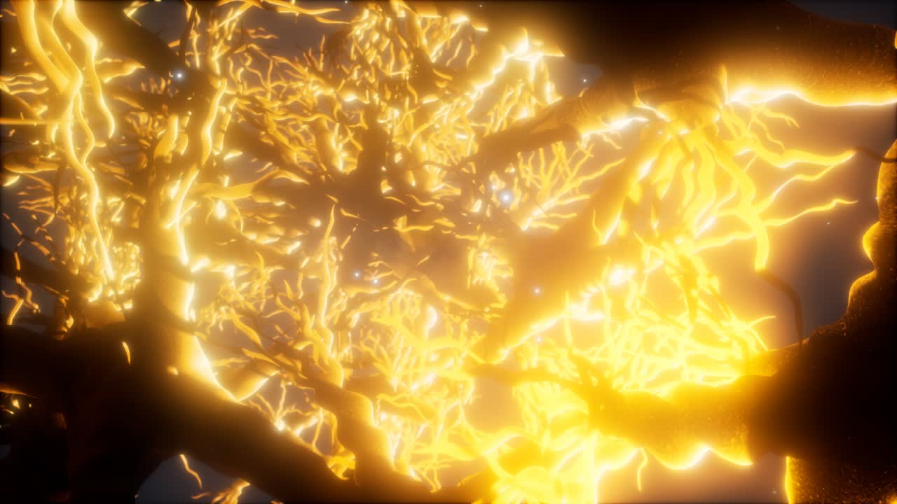 뇌 안의 신경 세포 네트워크를 통해 여행합니다.