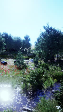 forest meadow with stream and flowers