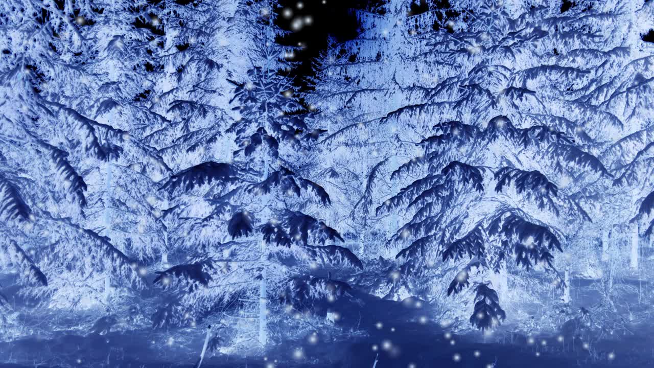 árboles del bosque en la nieve por la noche en invierno.