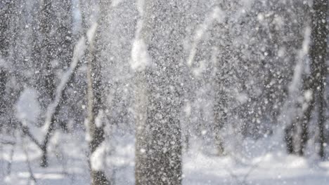 paisaje de invierno durante las nevadas. fondo abstracto de navidad de invierno en súper cámara lenta.