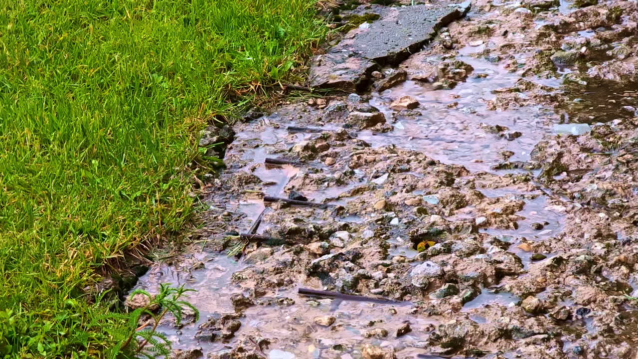 Dilapidated Paved Pathway Through Lawn On A Rainy Day. Close-up Shot
