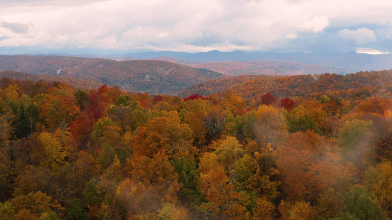 hermosos colores otoñales en un bosque en vermont, nueva inglaterra visto desde una hermosa vista aérea