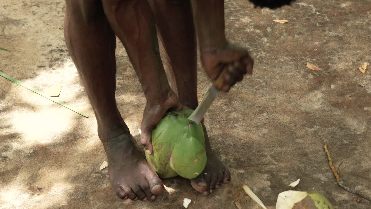 hombre indígena con un cuchillo pelando coco en una granja de especias, zanzíbar, isla de unguja, tanzania