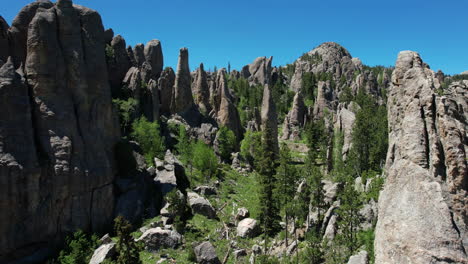 Colinas-Negras,-Parque-Estatal-Custer,-Dakota-Del-Sur,-Estados-Unidos