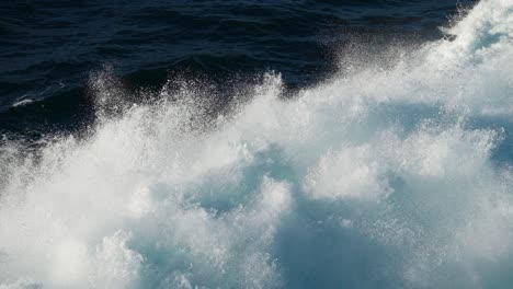 serenidad en la danza rítmica de las aguas blancas, mientras salpican y calman