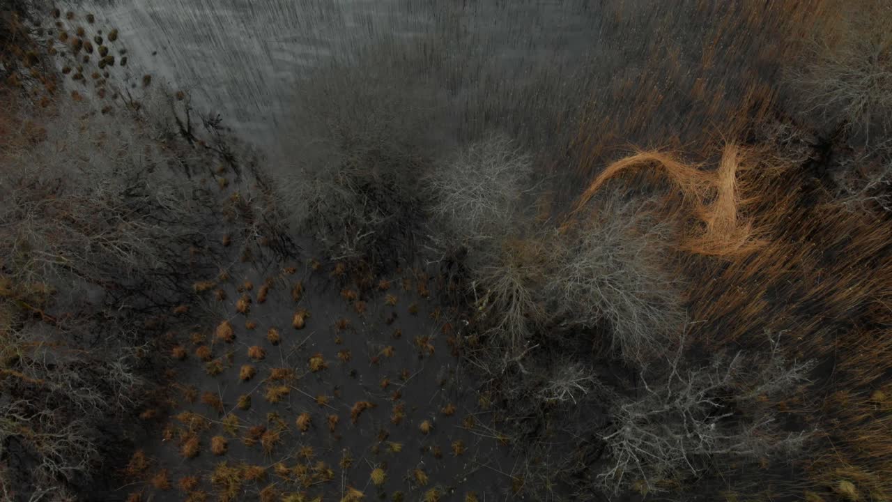 национальный парк килларни зимой