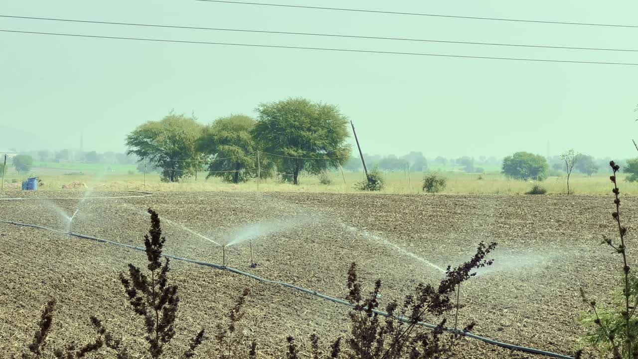 Drenching the soil in a newly plowed field with a sprinkler system in india