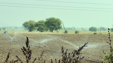 drenching the soil in a newly plowed field with a sprinkler system in india
