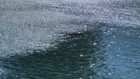 sparkling water surface with sunlight reflections, calm and tranquil mood in tokyo