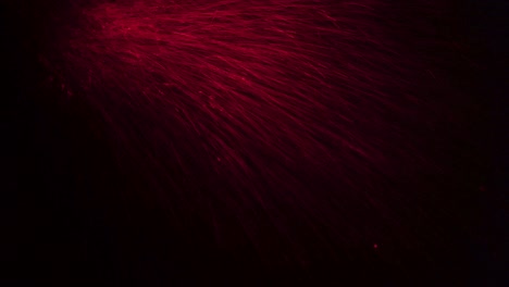 shooting of sprinkle drops on red background