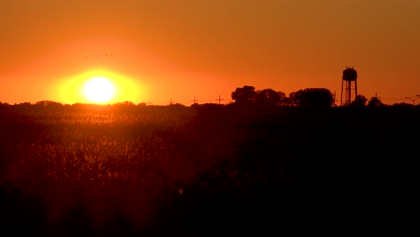puesta de sol sobre campos de algodón en la pequeña ciudad del sur de mississippi con pájaros migratorios volando y torre de agua