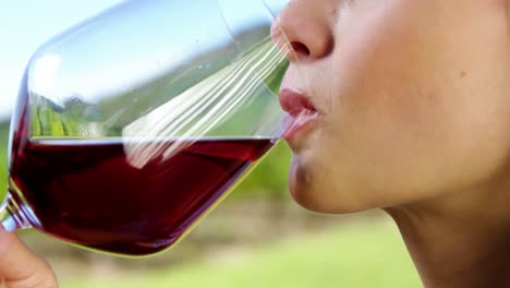 mujer bebiendo un vaso de vino tinto