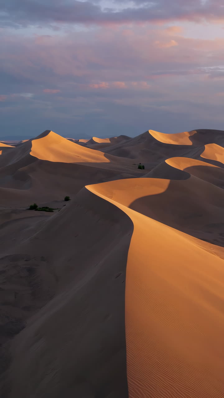 Golden Hour Light on Majestic Desert Sand Dunes