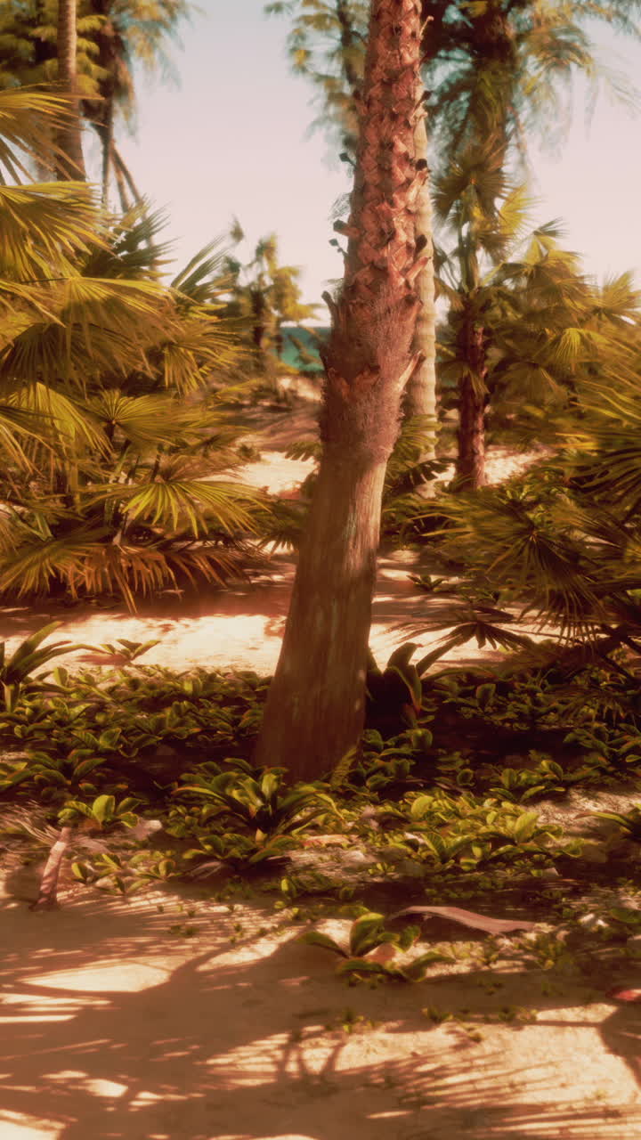 열대 해변 파라다이스