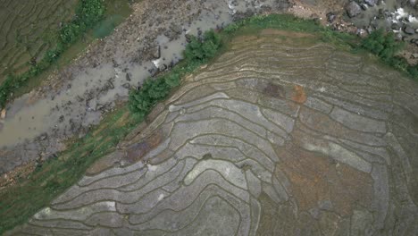 toma aérea giratoria de campos de arroz en las montañas asiáticas con hermosas formas en la tierra