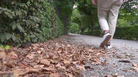 Male-back-torso-fully-in-focus-walking-away-from-camera-on-path-in-autumn-park