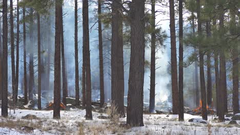 Montones-De-Leña-Ardiendo-En-Una-Reducción-De-Peligros-Ardiendo-En-Invierno