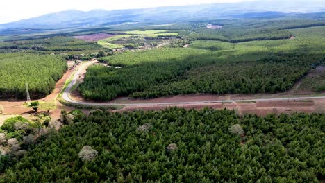 Drohnenansicht---Afrika-Wald---Afrika-Buschfeuer