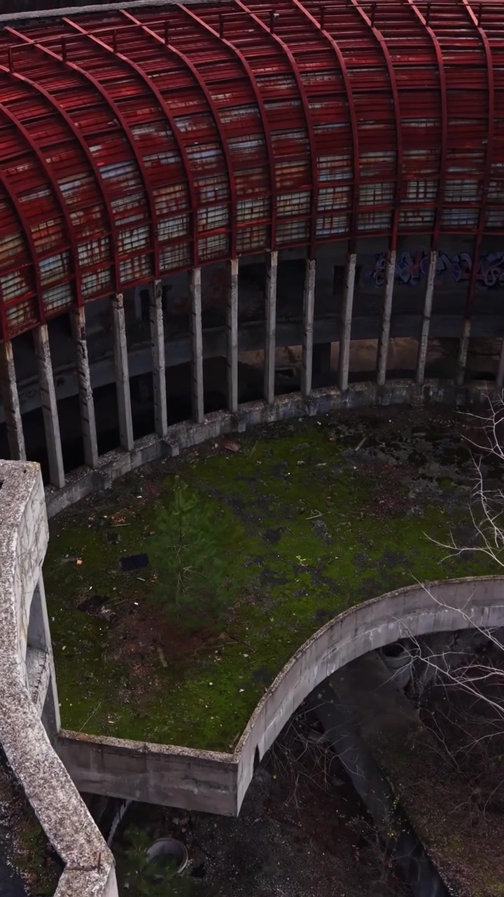Abandoned industrial site with overgrown vegetation and water pooling