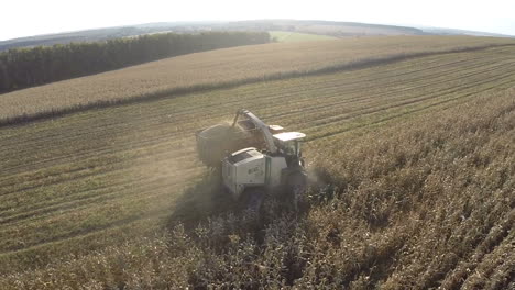 aerial view of crop harvesting