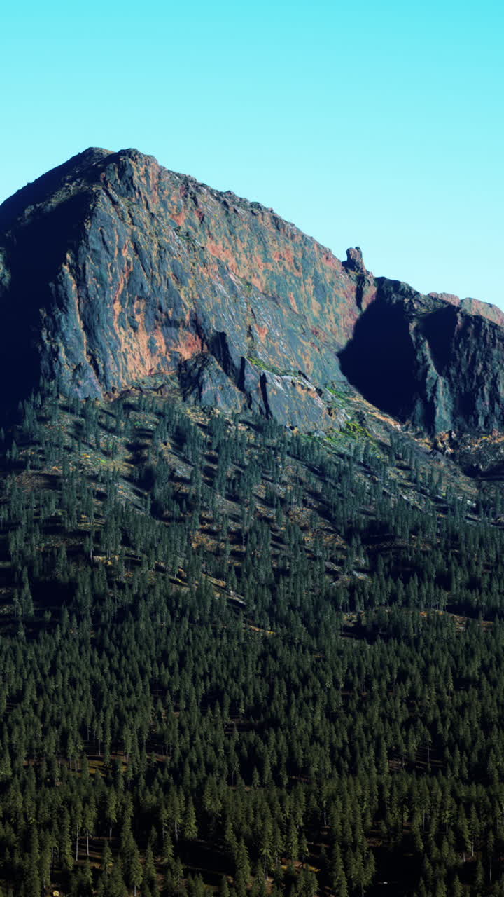 cordillera con bosque de pinos