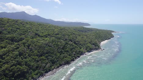 aerial panorama of lush tropical paradise of daintree rainforest on the coast of queensland in australia