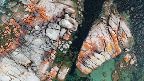 aerial of bay of fires bright orange rocks with waves in rock pools in the sea