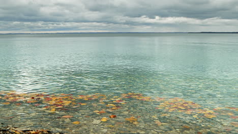 hojas de otoño en el agua con gotas de lluvia cayendo cerca de ellos