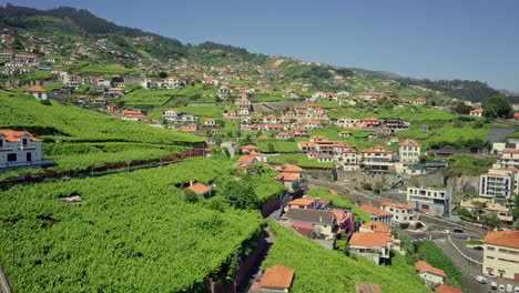 Antena-Moviéndose-Hacia-La-Exuberante-Comunidad-Agrícola-De-La-Terraza-De-La-Ladera-En-Madeira-Portugal