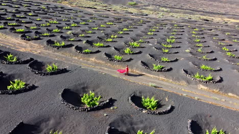 Rot-Gekleidete-Frau-Auf-Einer-Straße-In-Einer-Weinplantage-Auf-Lanzarote-Mit-Vielen-Kreisförmigen-Vulkanischen-Steinschutzmaßnahmen-Auf-Dem-Boden