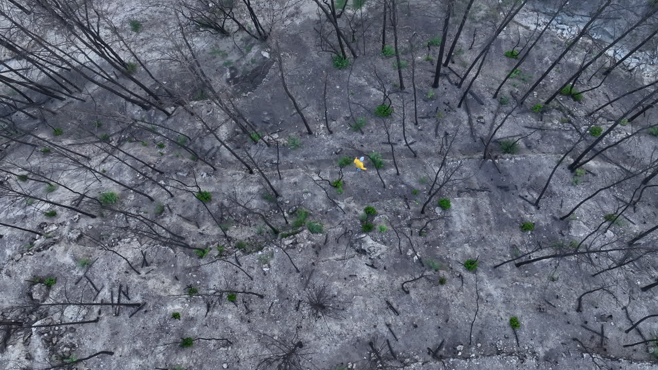 불타는 숲을 걷는 사람의 공중 조감도 추적