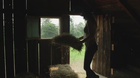 stylish cowgirl in horse barn tosses straw down to her horse