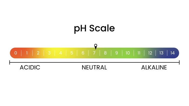 pH Scale diagram from acidic to alkaline Levels animation isolated on white background