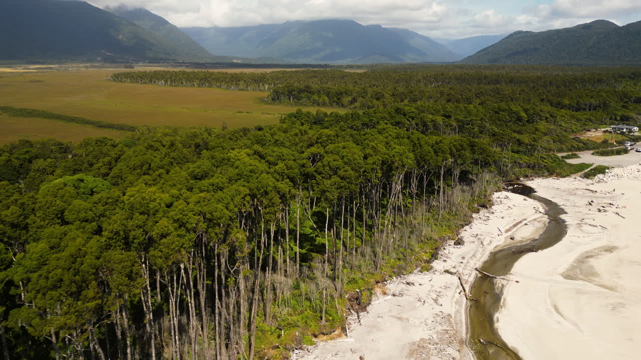 West Coast's coastline, rimu tree forest in New Zealand, aerial