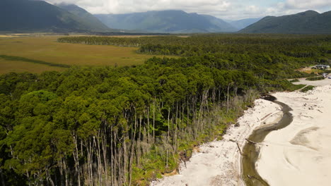 West-Coast's-coastline,-rimu-tree-forest-in-New-Zealand,-aerial