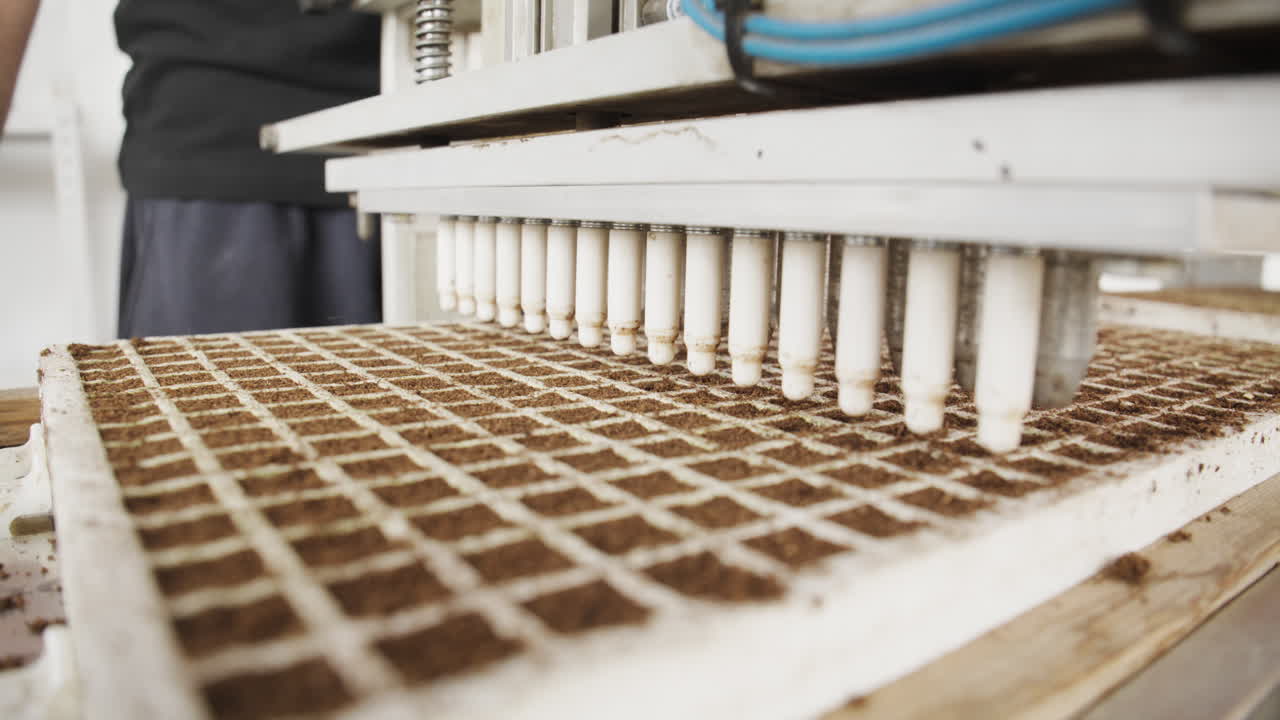 Primo piano di una moderna macchina agricola automatizzata che preme delle rientranze in un vassoio a griglia riempito di terra per la semina