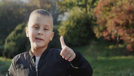 Portrait-of-a-cheerful-boy-in-the-autumn-park.-Holds-thumb-up