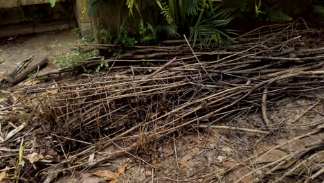 Yard-of-abandoned-house-full-of-dry-branches,-pan-camera