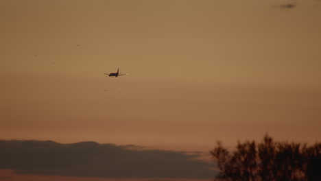 Plane-landing-in-sunset